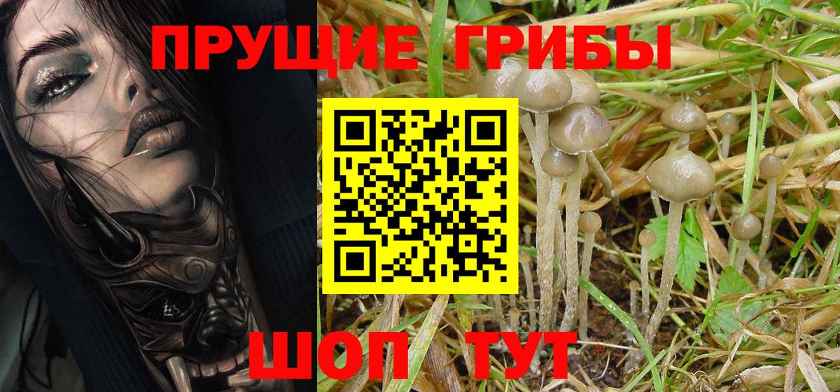 Галлюциногенные грибы MAGIC MUSHROOMS  Галлюциногенные грибы мицелий  Вход с VPN  Барабинск 